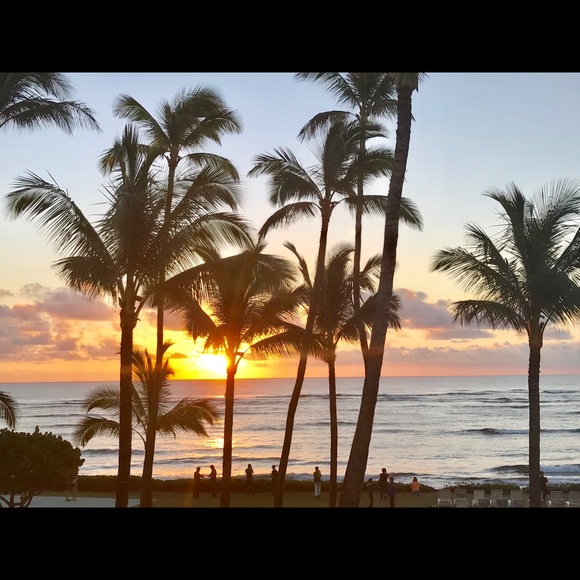 Meet your Posher, Jan - Picture 3 of 8